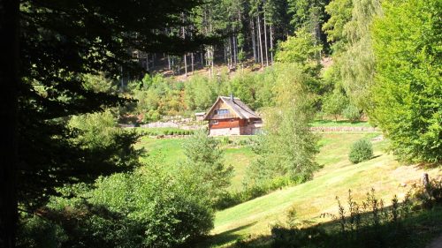 auf dem Weg zum Fohrenbühl